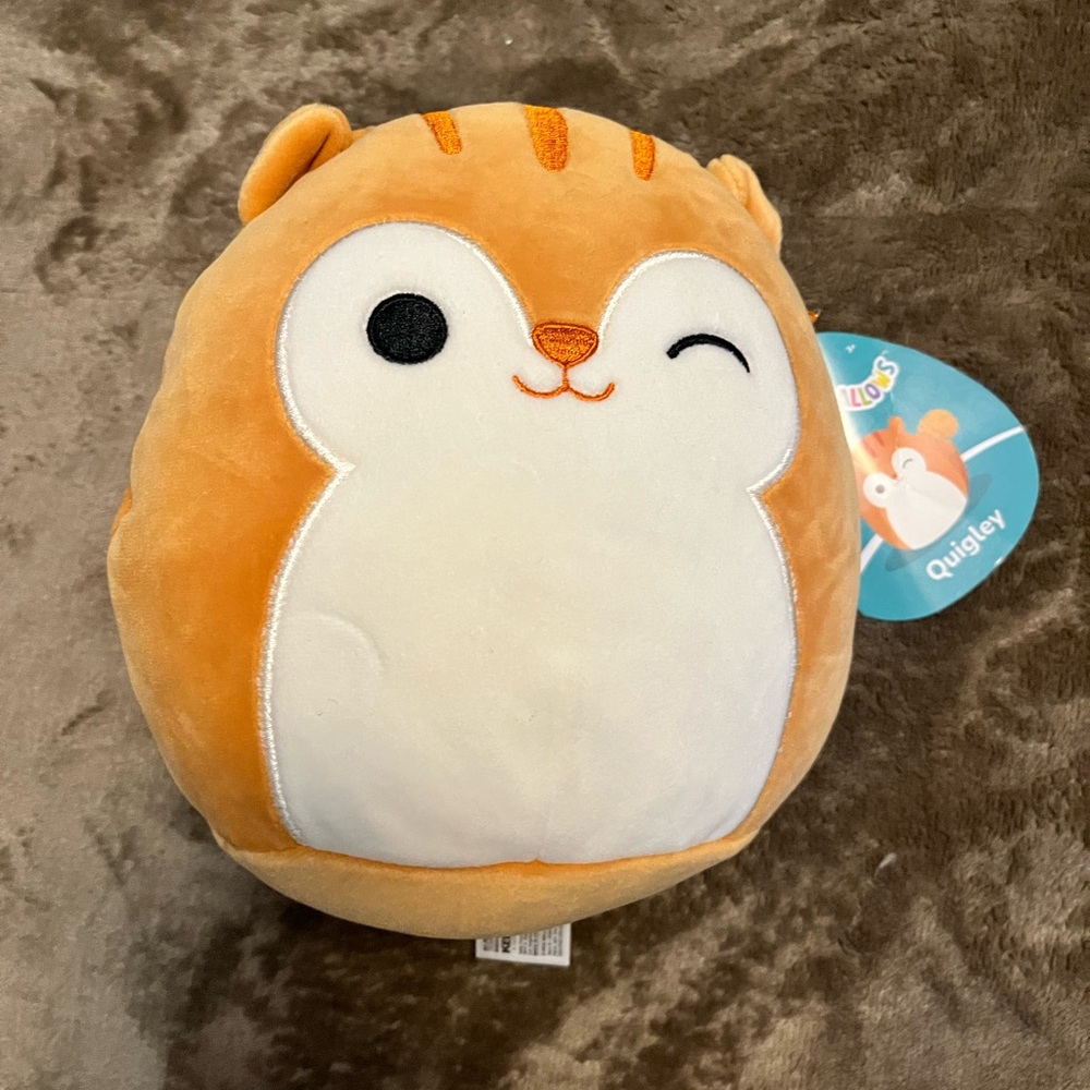 Quigley the Squirrel Squishmallow